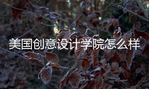 美国创意设计学院怎么样？