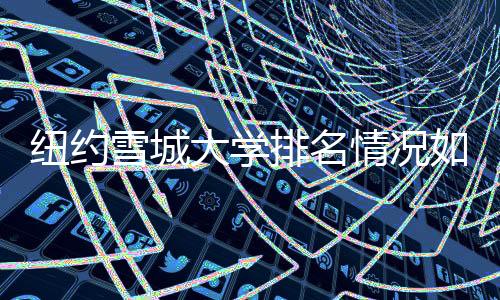 纽约雪城大学排名情况如何？