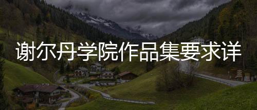谢尔丹学院作品集要求详解