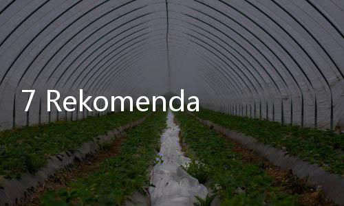 7 Rekomendasi Outfit yang Kamu Perlukan saat Lari