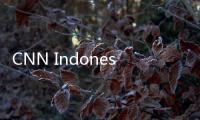CNN Indonesia Hadirkan Program 'Gapai Kemuliaan Roadshow' 25 November