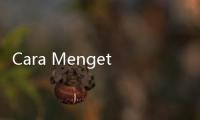 Cara Mengetahui Anak Punya IQ Rendah, Orang Tua Wajib Catat