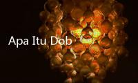 Apa Itu Dobby Syndrome dan Cara Mengatasinya