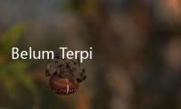 Belum Terpikir Bentuk TGUPP Pasca 11 Hari Menjabat, Heru Budi: Tergantung Selera Gubernur
