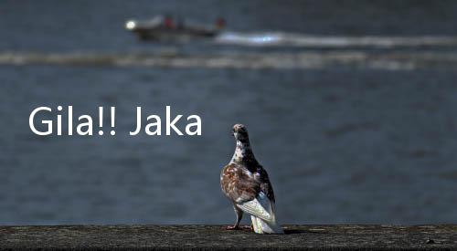 Gila!! Jakarta Masuk Peta Hitam Covid, Ini Kata BIN...