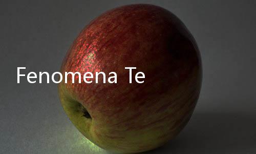 Fenomena Tech Winter Ubah Arah Investasi Modal Ventura