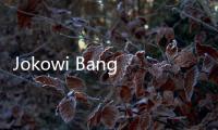 Jokowi Bangun Memorial Park di IKN dengan Biaya Rp 361 Miliar