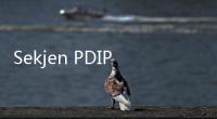 Sekjen PDIP Singgung Pemerintahan Ngemis Investor Untuk Pembangunan IKN