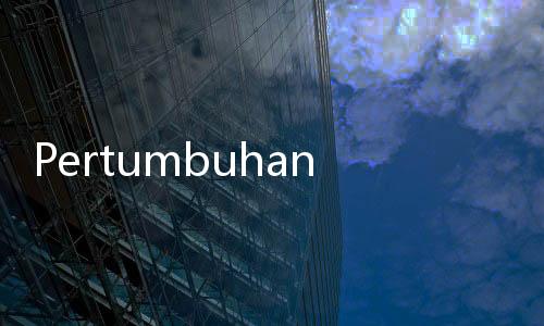 Pertumbuhan Kredit Melambat, Bank Mandiri Soroti Pelemahan Kredit UMKM