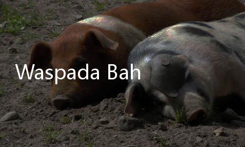 Waspada Bahaya Sindrom Patah Hati, Bisa Bikin Gagal Jantung