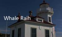 Whale Raih Pendanaan Senilai USD 60 Juta untuk Ekspansi Global