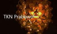 TKN Prabowo