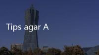 Tips agar Anabul Tidak Stres Dengar Suara Kembang Api Tahun Baru