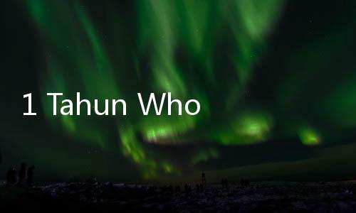 1 Tahun Whoosh Beroperasi, Menhub Budi Karya Harap Jangkauan Lebih Luas